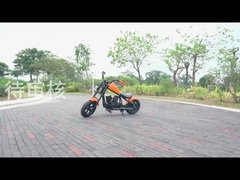 Podręcznik użytkownika motocykla